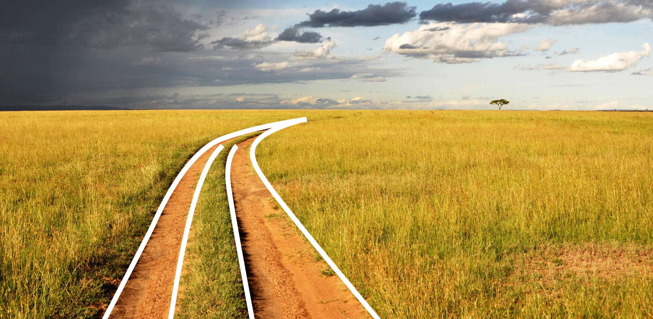 Выбираем стильный газон. 5 лайфхаков